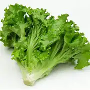 Sayur Bawang Rempah