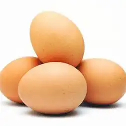 TELUR