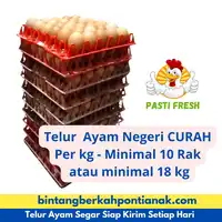 Telur Ayam Negeri Curah -per kg (Minimal 10 rak/300 butir/18kg) cocok untuk usaha